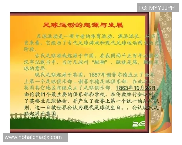 以足球为核心探讨全球体育文化的融合与发展路径