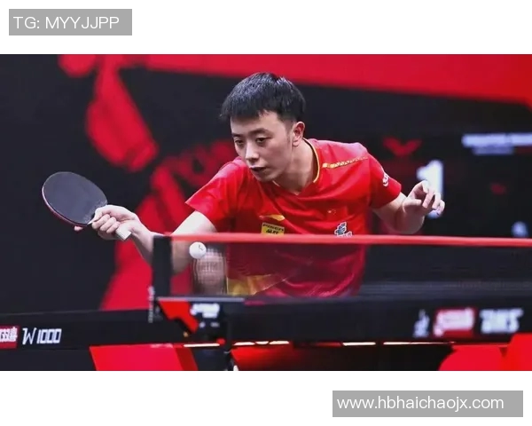 北京乒乓球队的成长之路挑战赛背后的拼搏与坚持故事